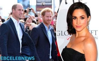 Prince Harry's Desire for a Traditional Christmas Clash with Meghan Markle's Preferences