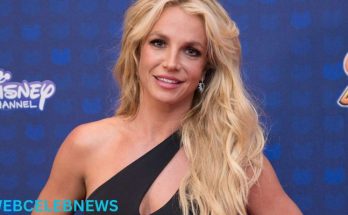 Britney Spears suffered financial losses.