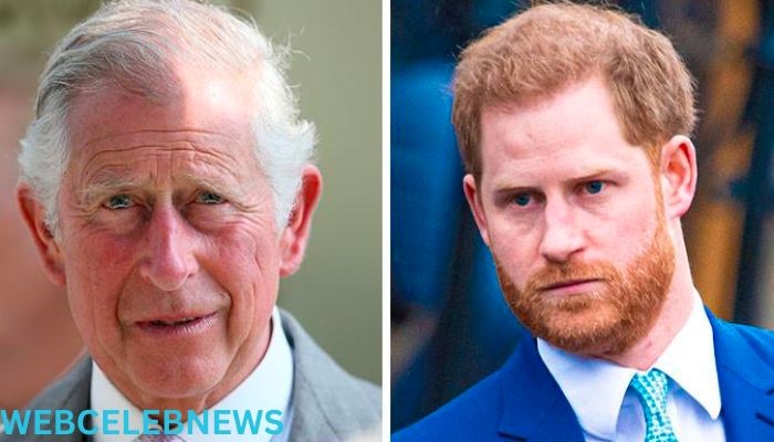 Because of King Charles' lack of affection for his children, Prince Harry resents him