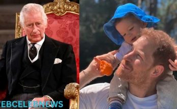 King Charles' lack of affection for his children, Prince Harry resents him