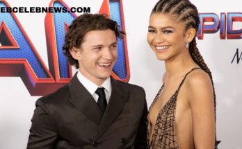 Zendaya and Tom Holland look adorable in rare selfie during casual date night