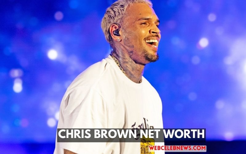 Chris Brown Net Worth Unveiling the Music Mogul's Wealth