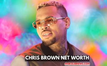 chris brown net worth