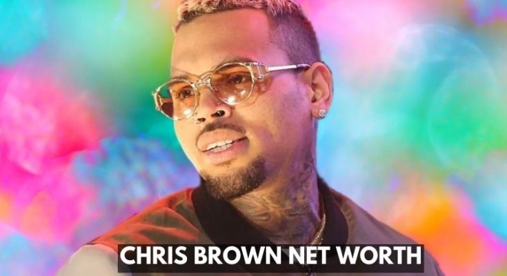 chris brown net worth