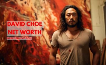 david choe net worth