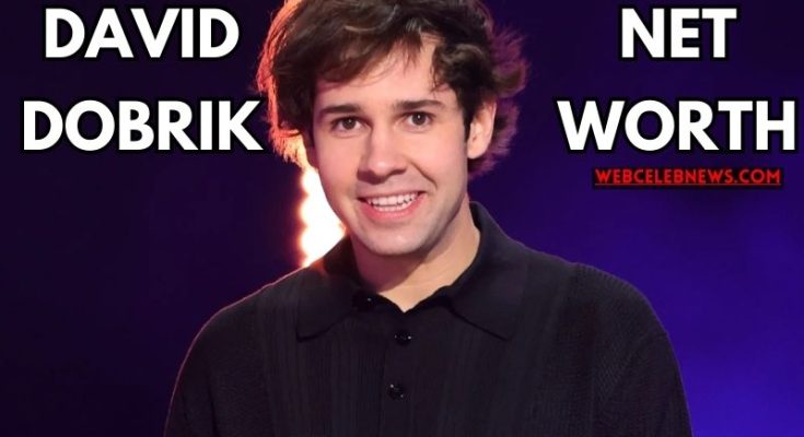 david dobrik net worth