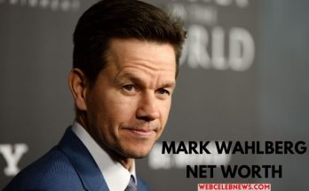 mark wahlberg net worth