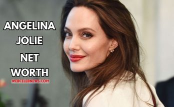 angelina jolie net worth